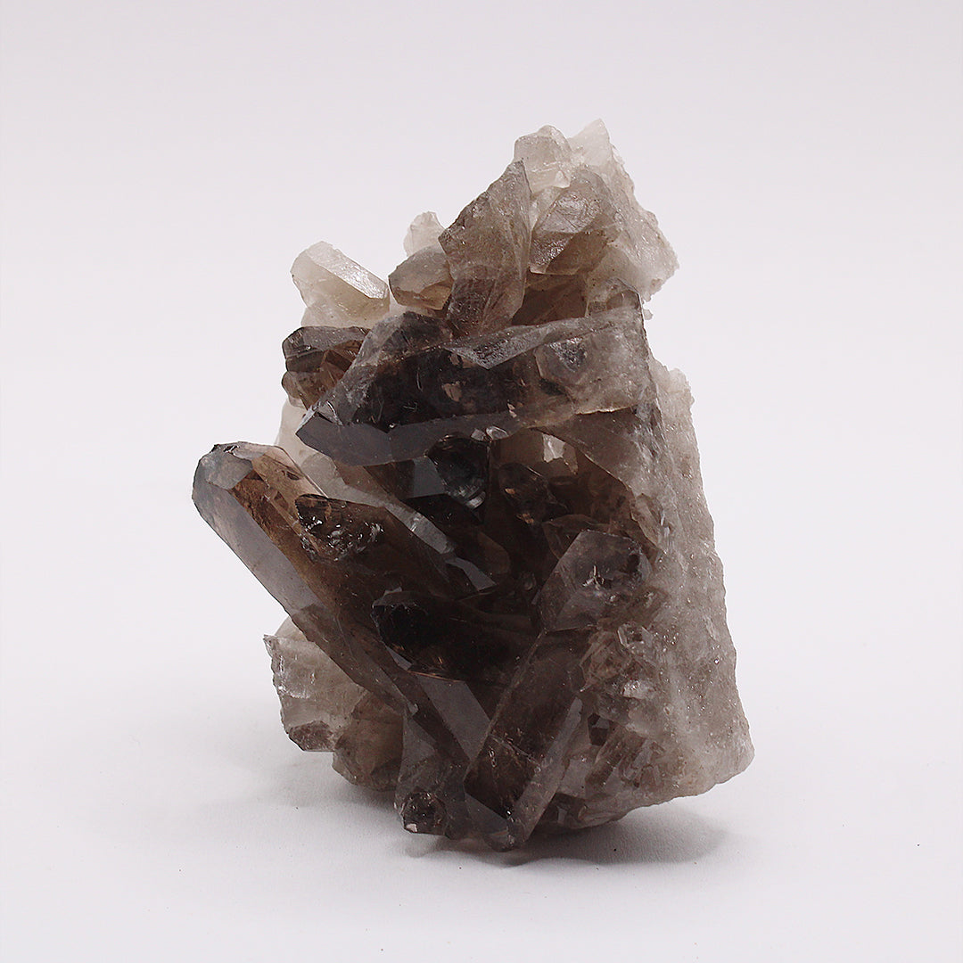 Drusa in quarzo fumé / 60-70 mm