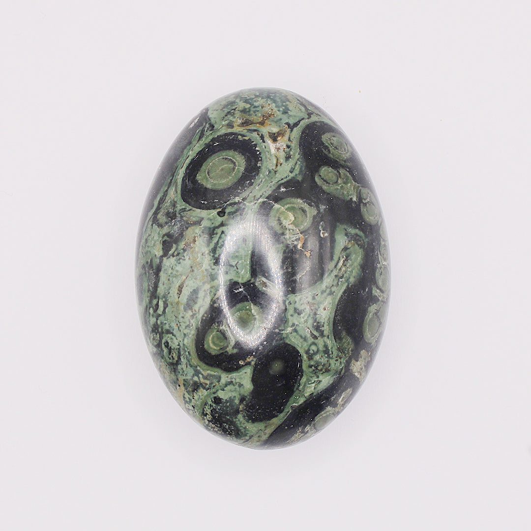 Palmstone in diaspro kambaba / 50-60 mm