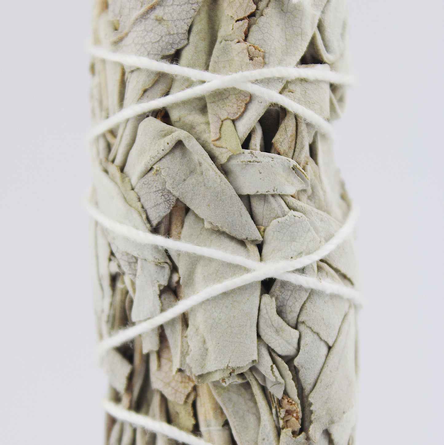 Californian white sage / 1 pc