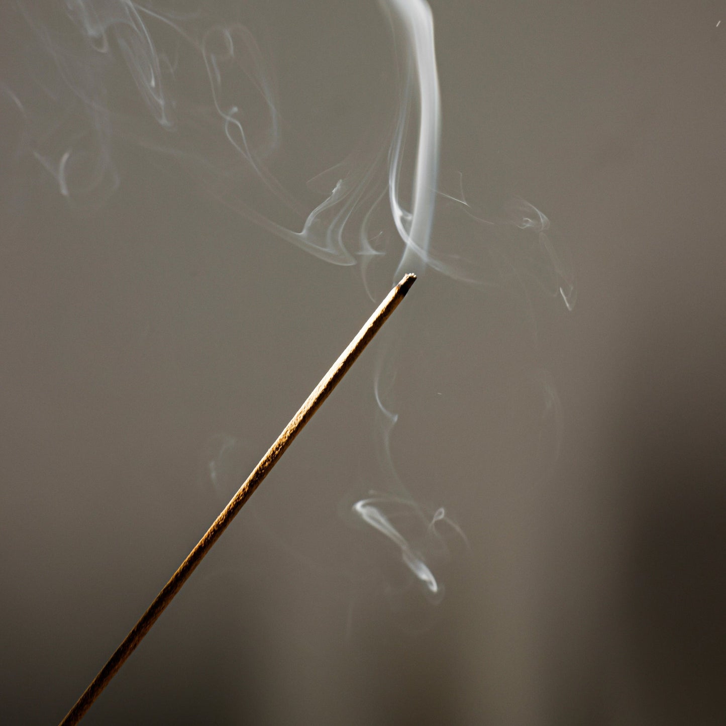 Incenso in stick / Ohm Shanti