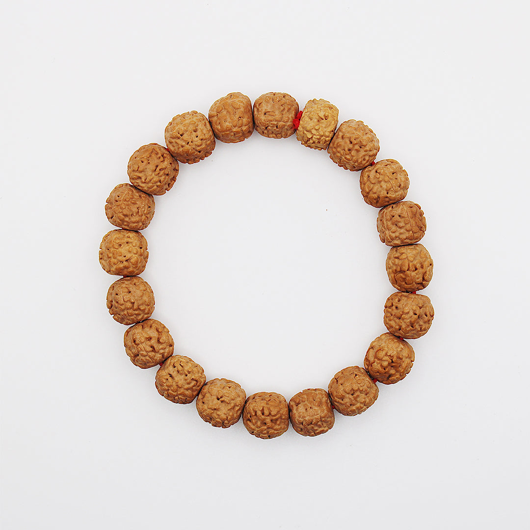 Bracciale mala rudra rudraksha / semi Ø 10 mm