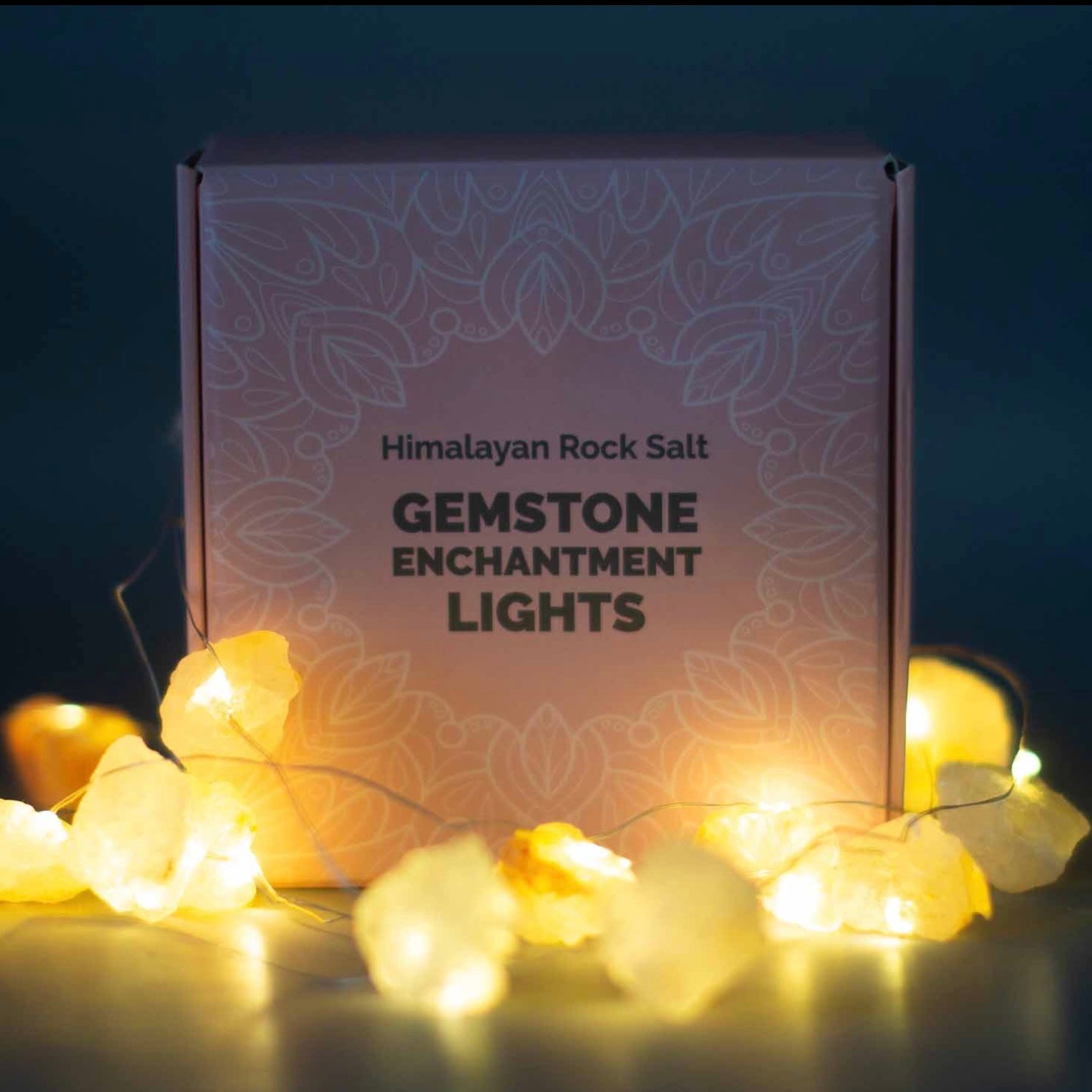 Luci led / sale rosa Himalayano / 227 cm