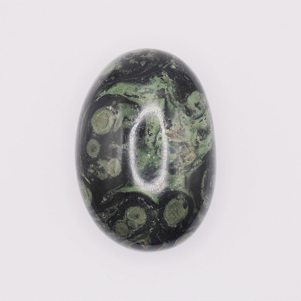 Palmstone in diaspro kambaba / 50-60 mm