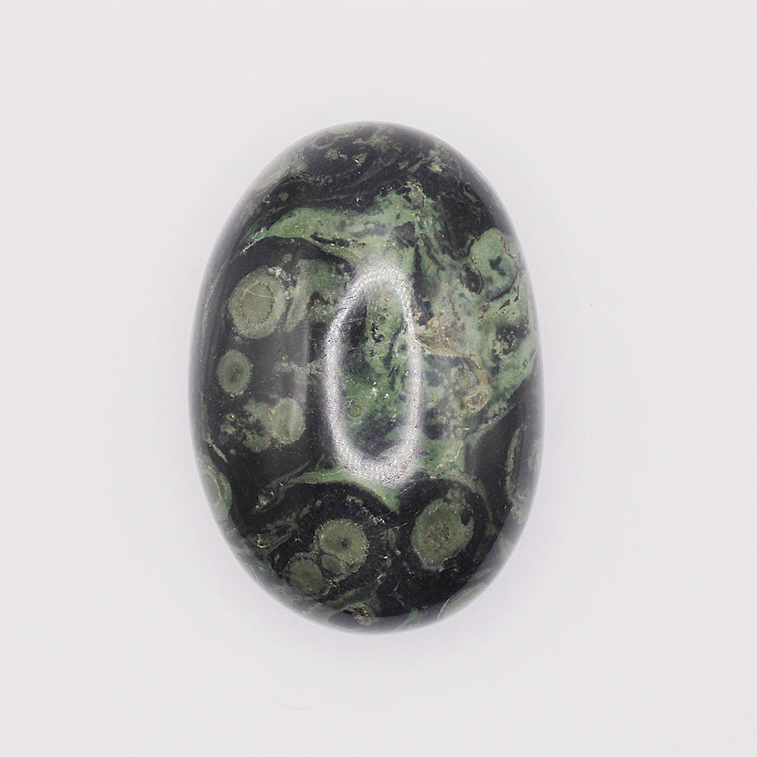 Palmstone in diaspro kambaba / 50-60 mm