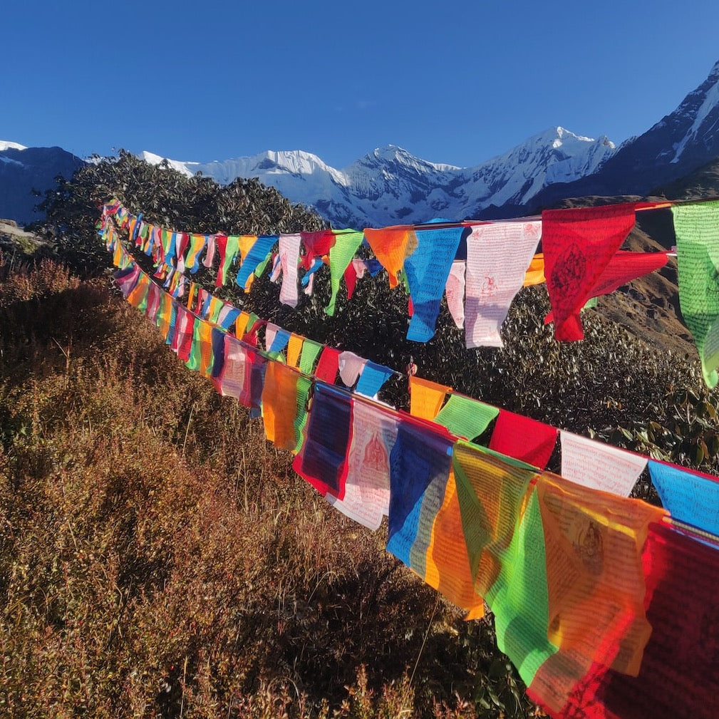 Tibetan flags / 18 cm - row of 10 flags / 1 pc