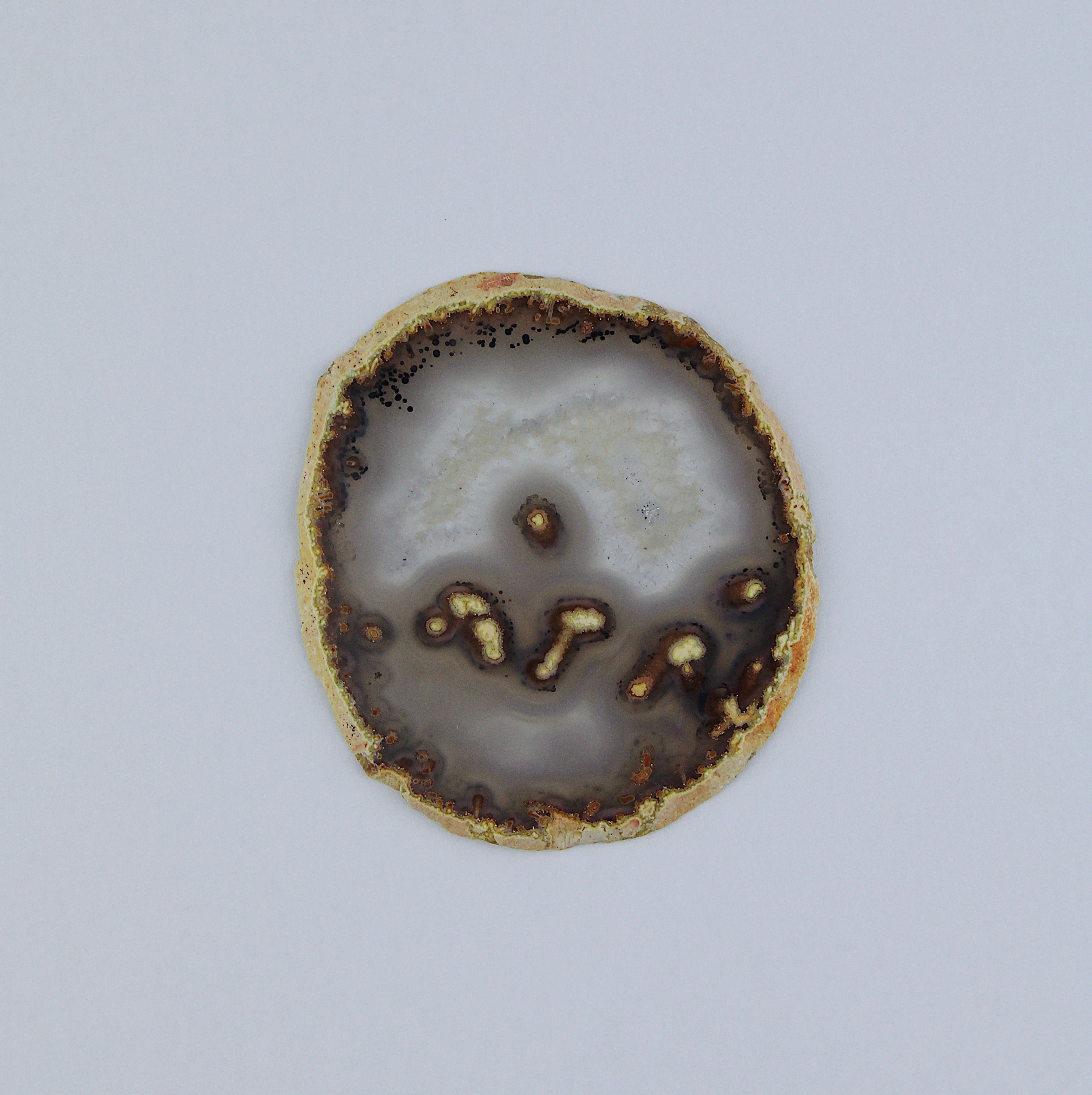 Fetta di geode di agata / Ø 50 mm x 5 mm