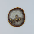 Fetta di geode di agata / Ø 50 mm x 5 mm